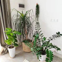 گل و گلدان