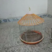 قفس پرنده
