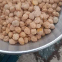 نخودبهاره