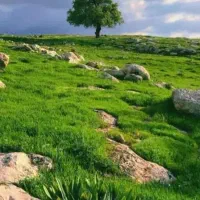 طبیعت گردی و کوهنوردی