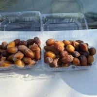 رطب کبکاب
