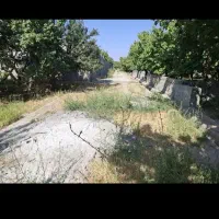 پرورش مرغ وجوجه