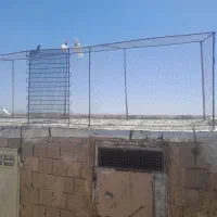 قفس کبوتر