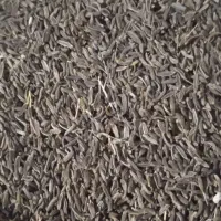 زیره کوهی اصل