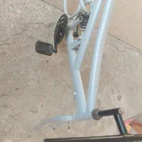 تنه دوچرخه