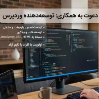 کارشناس وردپرس (WordPress Developer) - دورکاری