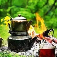 فروش چایی ارگانیک