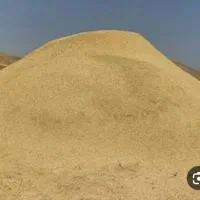 کاه نخود