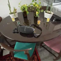 میز و مبل نهارخوری شیک و بیضی