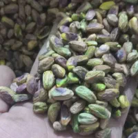 مغز پسته لپه دندانه
