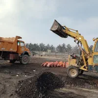 کارگر|خدمات باغبانی و درختکاری|مشهد, تبادکان|دیوار