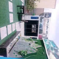 سفارش غذا تعداد بالا