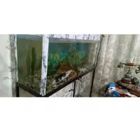 اکفاریوم ۳ میلیون مفت با همه وسایل به فروش می رود