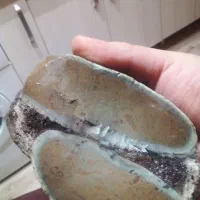 فروش فسیل سنگ