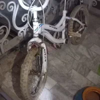 دوچرخه ۱۶ ویوا