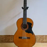 گیتار آریا ak80