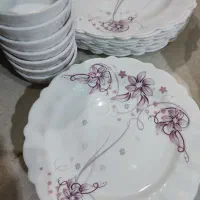 ظروف غذاخوری آرکوپال