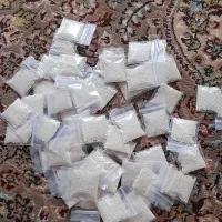 پودر شپش