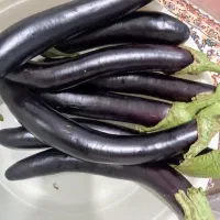 محصولات خانگی