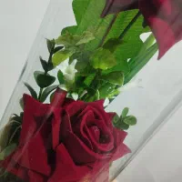 باکس گل