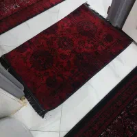 پادری لاکی