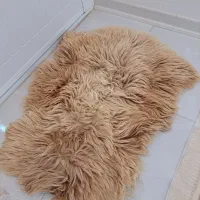 پوست گوسفند