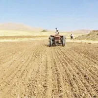 فروش-زمین-کشاورزی-دیمی