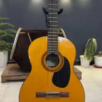 گیتار  فرناندز fg120