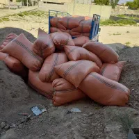 کاه گندم