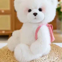 عروسک خرسی با رنگ بندی
