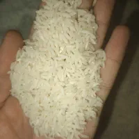 برنج هاشمی ۱۰۰کیلو