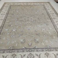 12متری‌فیلی