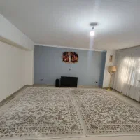 ۲ عدد فرش ۹ متری نو نو