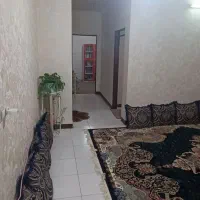 75-متر-درخت-سبز-فاز-2-فوق-العاده-تمیز