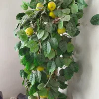 درختچه مصنوعی و گل