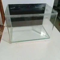 اکواریوم