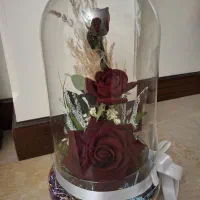 باکس گل فلکسی