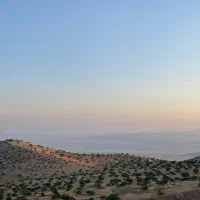 باغ-انجیر-در-قلب-انجیرستان-جهان