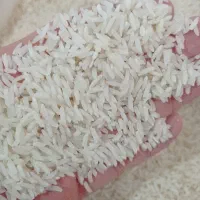 پخش برنج مرادی