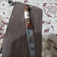 چاقو دست شاخ
