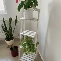 استند گل وکتابخانه