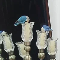 دو عدد طوطی برزیلی نر آماده