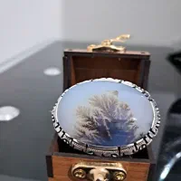 انگشتر شجر فوق کلوکسیونی