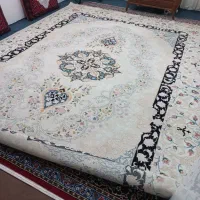 یک عدد فرش ۱۲ متری به شدت تمیز