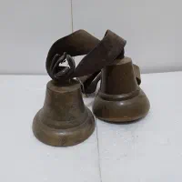 زنگوله