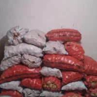 سیبزمینی درجه یک