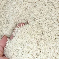 برنج|حراج|محمودآباد, |دیوار