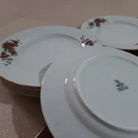 ظروف چینی زرین