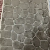 دوعدد پادری نو