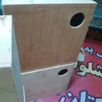 لانه پرنده طوطی